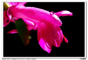 DSC_0059.jpg