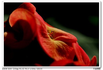 DSC_0070.jpg