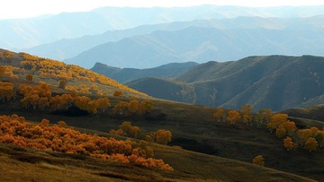DSC_4442.jpg
