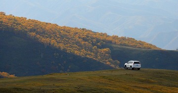 DSC_4513.jpg