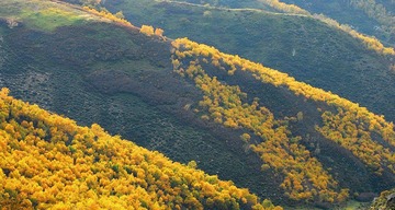 DSC_4564.jpg