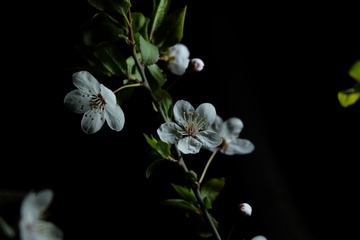9D58853F-4334-408C-B3B9-12264B712D77/L0/001