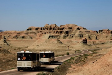 IMG_1537.JPG