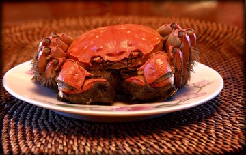 IMG_5431.jpg