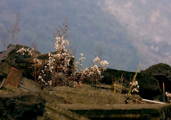 IMG_8829.JPG