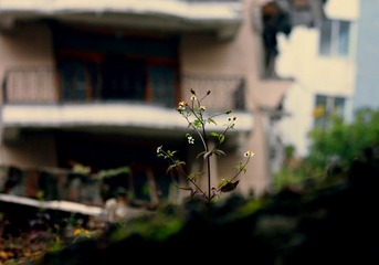 IMG_8927.JPG