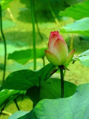 48_262564_a6e24ee8f2cd1f7