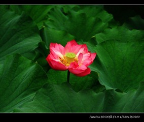 DSCF0353