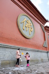 DSCF3742_1