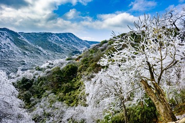 DSCF3792_1