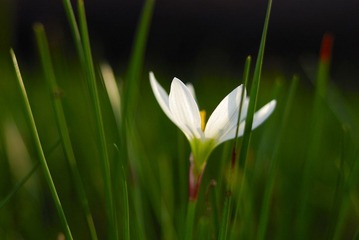 _DSC0022.jpg