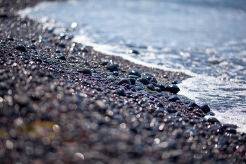 IMG_6785.jpg