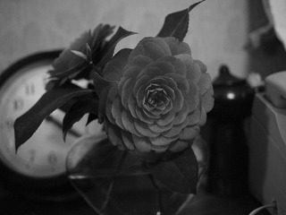 20110330-P3302600