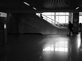 20110326-P3262334