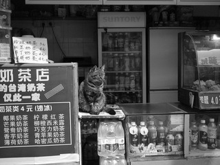 20110326-P3262299