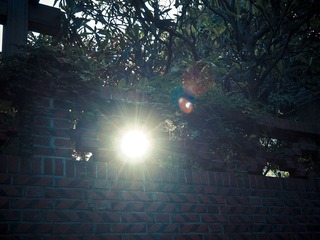 P6204478-1