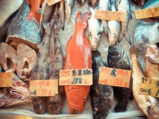 P6184247-1