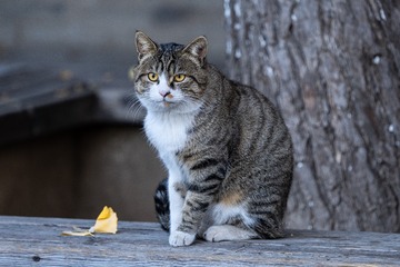 101501