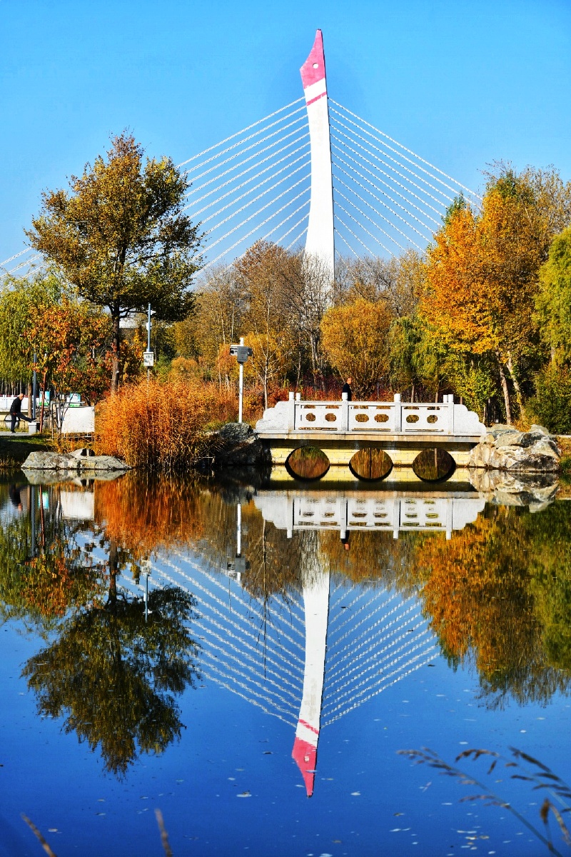 西宁海湖湿地公园 - 扎西更恰 - 图虫