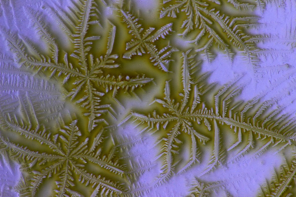 酱油的结晶体
