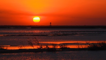 湿地夕阳红