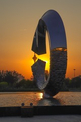 夕阳红