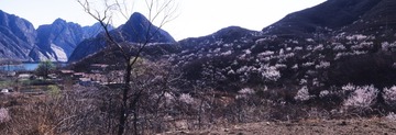 山村春天3_resize