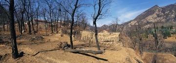 山村的春天1_resize