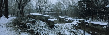 植物园雪2_resize