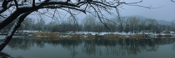 植物园雪4_resize