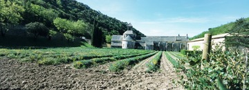 塞纳克修道院2_resize