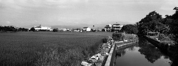 宜兰的田野1