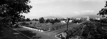 宜兰的田野5