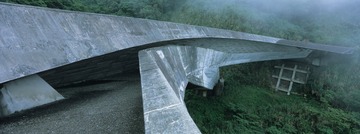 樱花陵园39