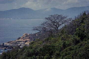 _DSC0014