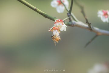 _DSC0034