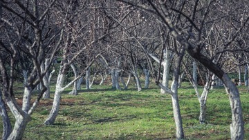 _DSC0056