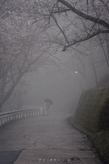 _DSC0079