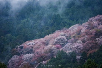 _DSC0068