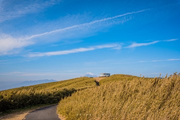 _DSC0166