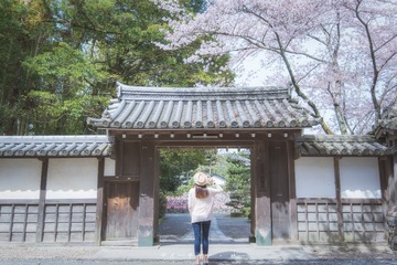 _DSC0677-编辑