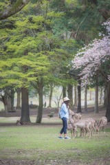 _DSC0784-编辑