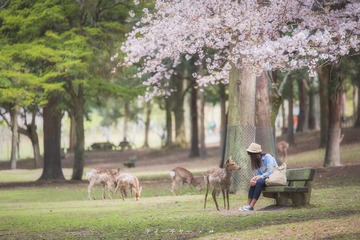 _DSC0811-编辑-2