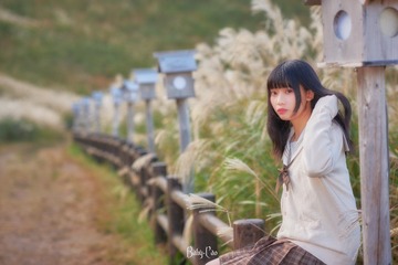_DSC0132——网络输出