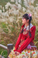 _DSC0126——网络输出