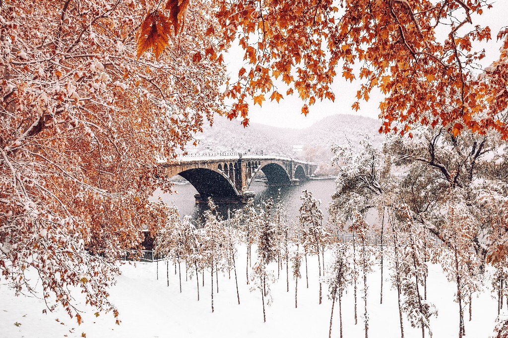 2015第一场雪，龙门石窟伊河