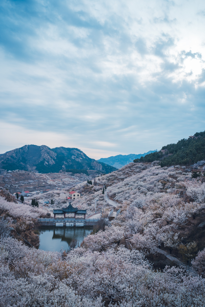 青岛大崂樱桃谷