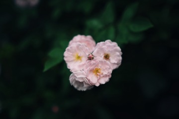759224