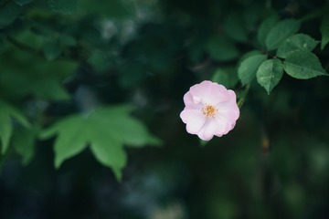 759216
