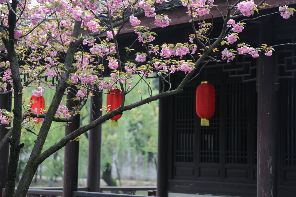 江南春色东湖美景